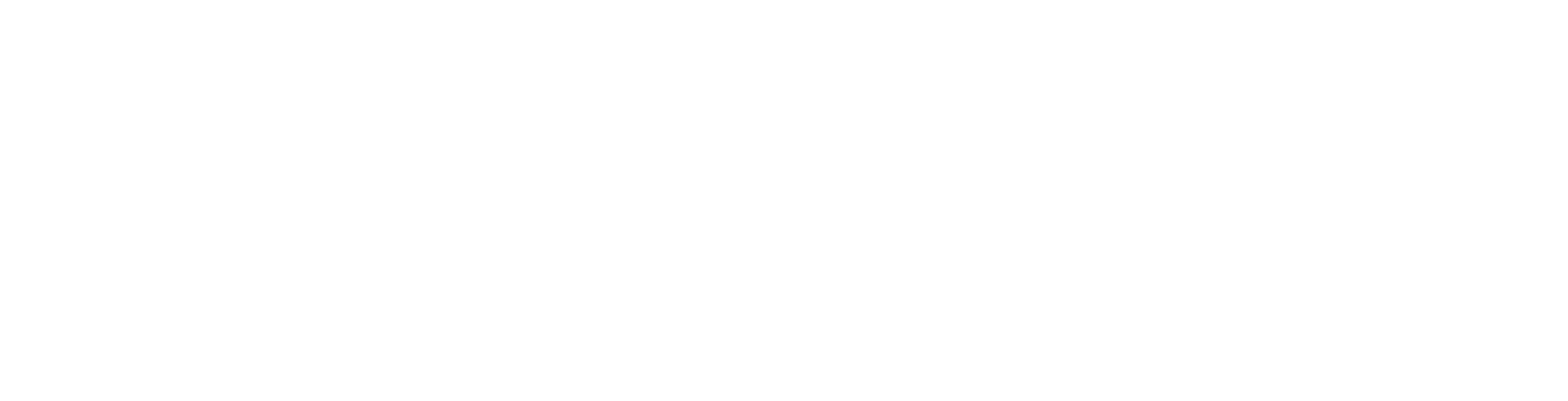 IRONIK